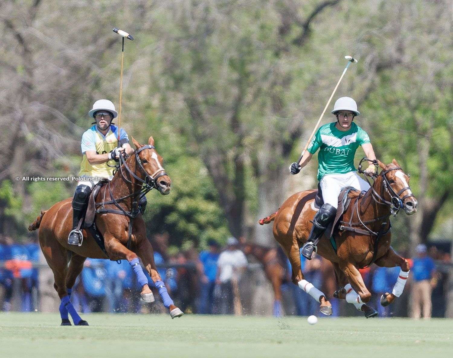 82nd. Tortugas Open, QF #1