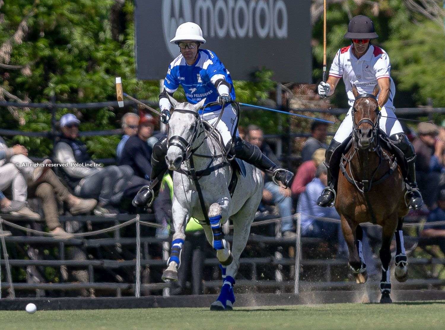 82nd. Tortugas Open, QF# 3 – Ellerstina vs. La Irenita GSquared