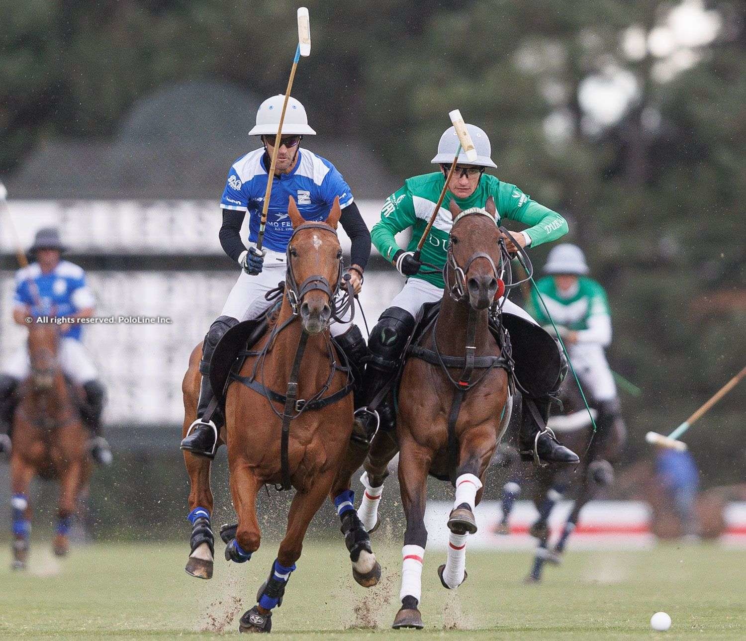 82nd. Tortugas Open, Final – La Natividad vs. Ellerstina