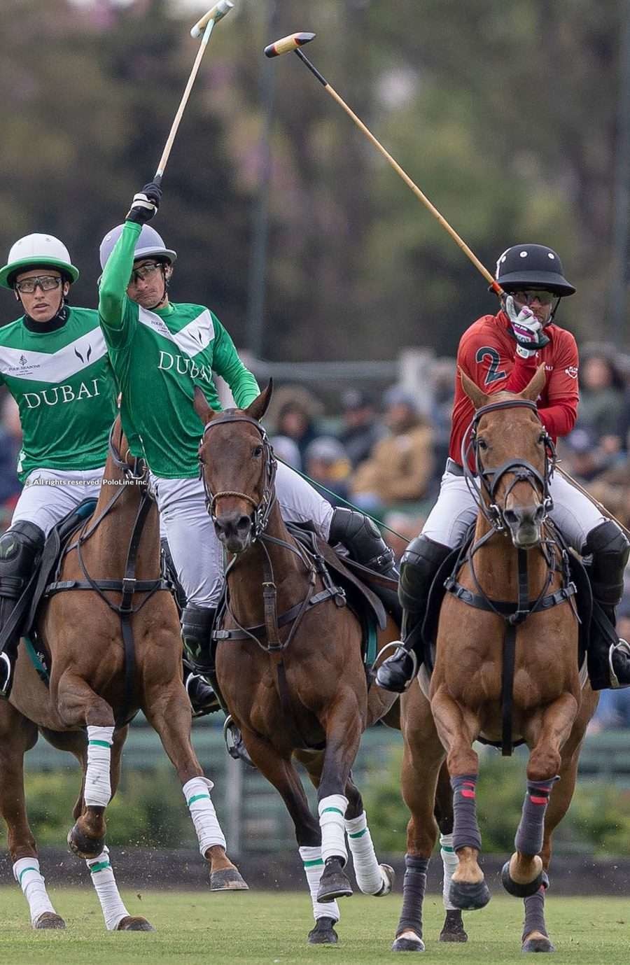 Campeonato Argentino Abierto de Polo (Argentine Polo Open Championship) 2022  in Buenos Aires - Dates