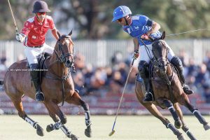 129th. Argentine Open: Opening wins for La Irenita Grand Champions and La Ensenada RS Murus Sanctus