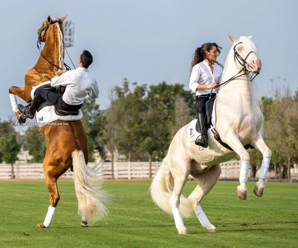 Pink Polo, Ghantoot Racing & Polo Club