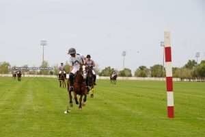 The Sultan Bin Zayed kicks off with double action