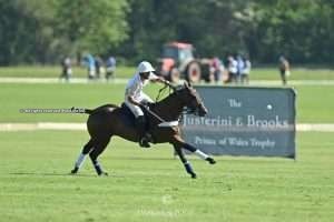 Weather permitting, the Justerini & Brooks Prince of Wales Trophy will kick off on Thursday