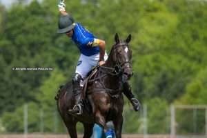 Park Place and Vikings qualified to the final of the Justerini & Brooks Prince of Wales Trophy
