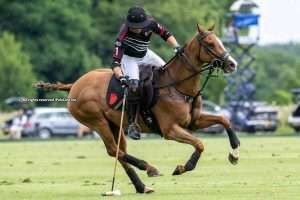 Warwickshire Cup: Black Bears and Confido are through the final