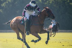 Trippetts Challenge: UAE and White Crane were victorious on the weekend