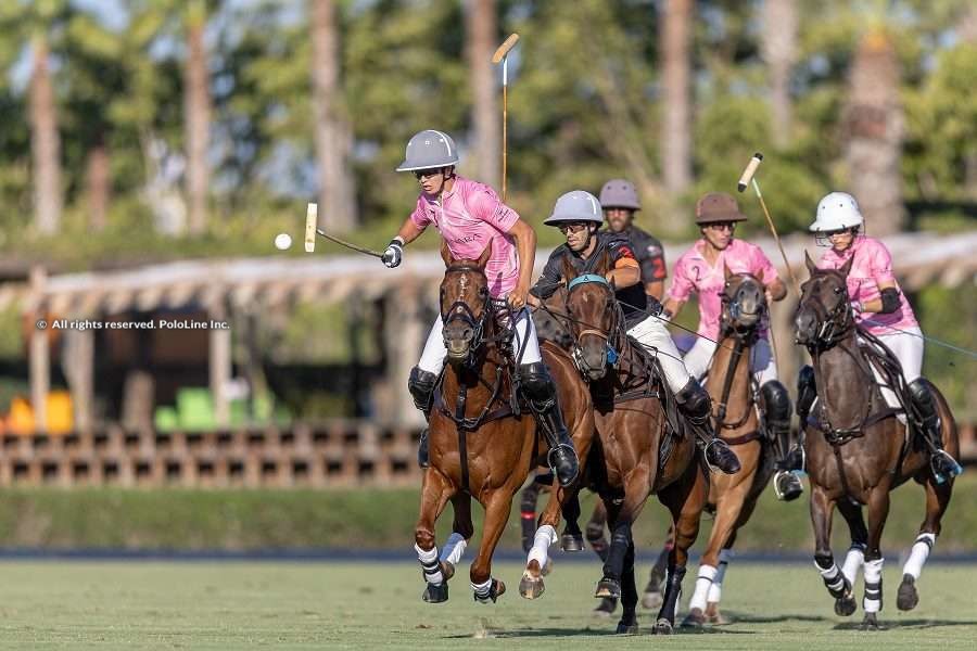 Polo inc clearance