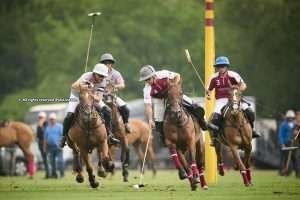 British Open: Marqués de Riscal and Vikings claimed wins