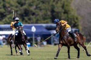 Spring season at La Dolfina Polo Club