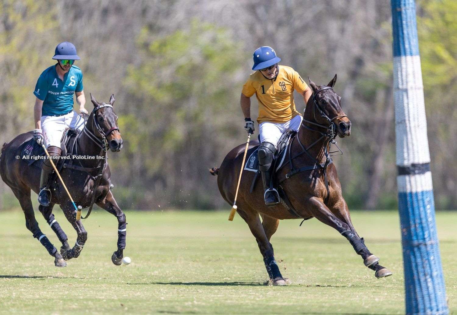Pololine | South Patagonian y Lista Blanca, finalistas de La Dolfina ...