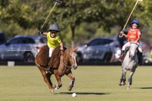 The technique and imitation in polo