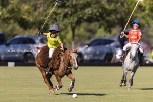 La técnica y la imitación en el polo