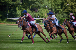 Last league games of the 130th. Open de Paris