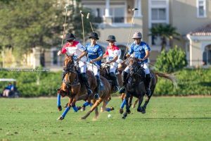 Semifinals confirmed in the UAE Polo Federation Cup