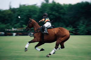 La esencia del polo: Los estribos