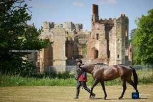 Ferne Park and Maíz Dulce to play the final of the Dollar Cup at Cowdray Park; WATCH LIVE ON POLOLINE TV
