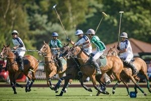 Packed action at the British Open Polo Championship for the Cowdray Gold Cup