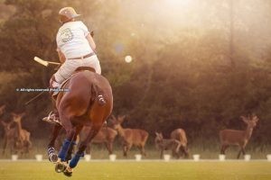 Se viene la segunda edición del Singureni Manor Polo Cup