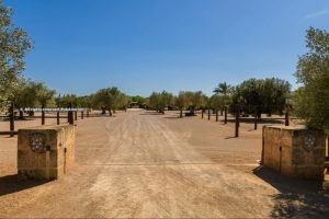 Mallorca opens the door to polo