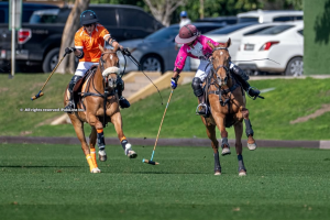 The UAE Polo Federation Cup Kicks Off