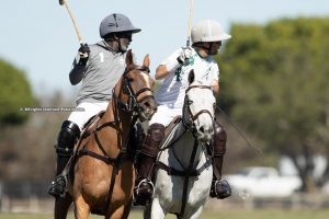 Flying H, Mrs. Momma Bear/LW Ranch and Zapican BMW, the latest winners within the Ylvisaker Cup