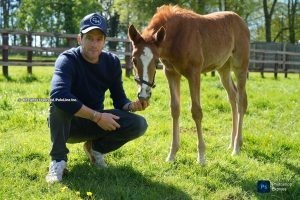 “BPP UK fue creada para ayudar a promover y reconocer a los atletas equinos que son el corazón del deporte”
