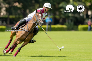 La técnica: el lenguaje perdido del polo