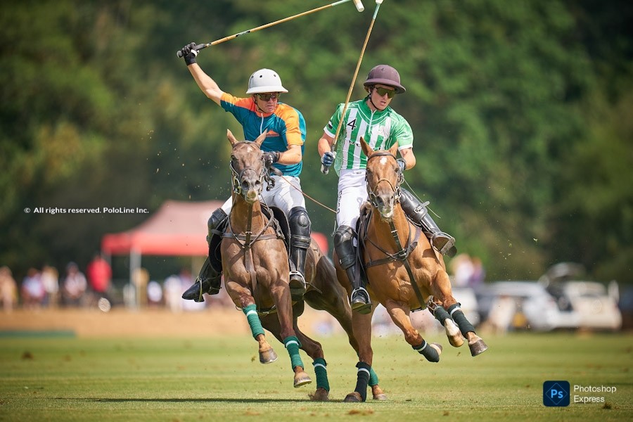 St. Regis Cowdray Gold Cup, Final